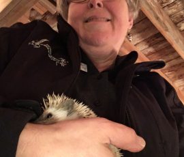 A person wearing glasses holds a small hedgehog in their arm, standing indoors under a wooden ceiling.