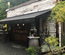 A rustic outdoor café with a weathered wood exterior, open window counter, and plants in front on a gravel surface.