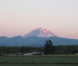 Snow-capped mountain at sunrise with pink light, trees, and buildings in the foreground under a clear sky.